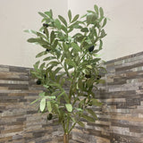 Faux Olive Tree in Planter ACCESSORIES 11Wx43H