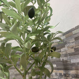 Faux Olive Tree in Planter ACCESSORIES 11Wx43H