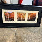 Garden Ridge Forest In The Fall Framed ART WORK 61x31