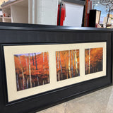 Garden Ridge Forest In The Fall Framed ART WORK 61x31