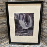 Nature Scene Print In Black Frame ART WORK 13x17