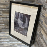 Nature Scene Print In Black Frame ART WORK 13x17