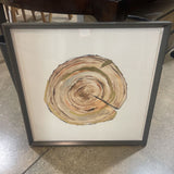 Stump Cross Section Abstract Watercolor Style Print ART WORK 26.5Wx26.5H