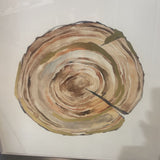 Stump Cross Section Abstract Watercolor Style Print ART WORK 26.5Wx26.5H