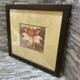 Waterlily Framed Print ART WORK 24x22