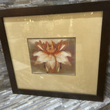 Waterlily Framed Print ART WORK 24x22