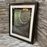 "Surround II" By James Burghardt Framed Print ART WORK 19x23