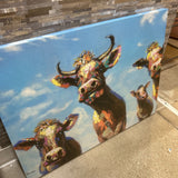 Colorful Cow Selfies On Canvas ART WORK 40x30