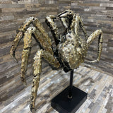 Highly Detailed Silver Leaf Crab Sculpture on Pedestal ACCESSORIES 18Wx10Dx16H
