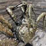 Highly Detailed Silver Leaf Crab Sculpture on Pedestal ACCESSORIES 18Wx10Dx16H