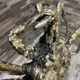 Highly Detailed Silver Leaf Crab Sculpture on Pedestal ACCESSORIES 18Wx10Dx16H