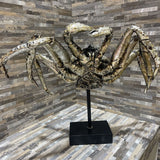 Highly Detailed Silver Leaf Crab Sculpture on Pedestal ACCESSORIES 18Wx10Dx16H
