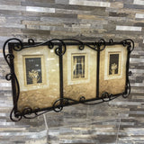 Metal Framed 3-Image Photo ACCESSORIES 15wX8h