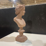 Italian Renaissance Terracotta Portrait Bust ACCESSORIES 6.5Wx17H