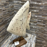 Wooden Angel Fish ACCESSORIES 15w4d24h