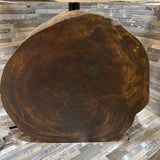 NEW DRIFT, Inc. Trunk TABLE LAMP 20w8d24h