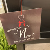 Villa2 Roma Solid Wood Triple Shelf BOOK SHELF 35.5w16d75h