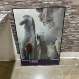 Versilia Framed Print ART WORK 27x39